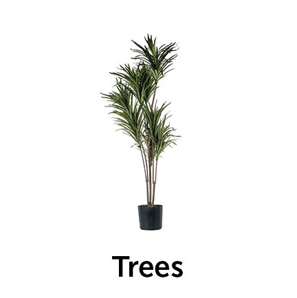 Trees