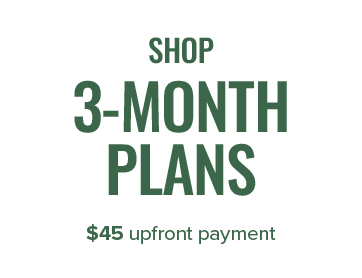 Shop 3-Month Plans