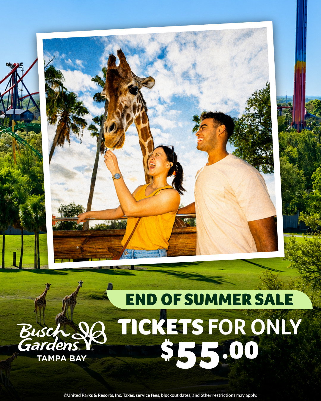 One Day or ALL YEAR! Best Deal of the Year!
