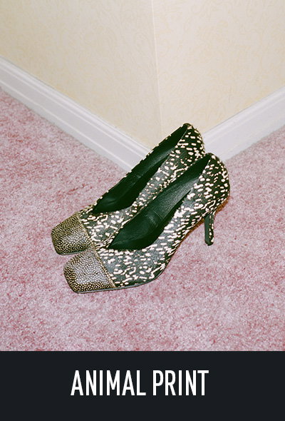Animal Print Collection