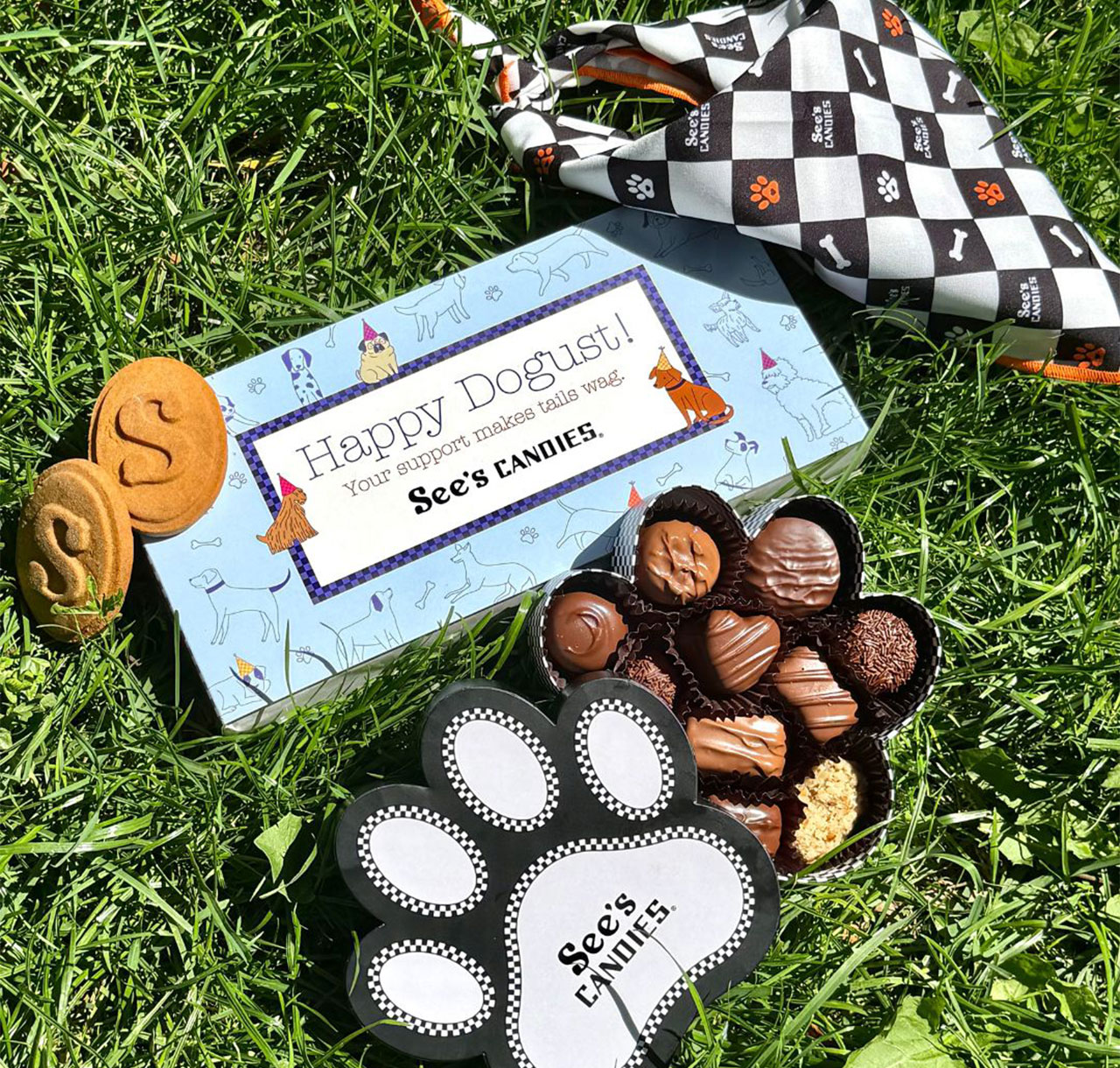 Dogust products on grass