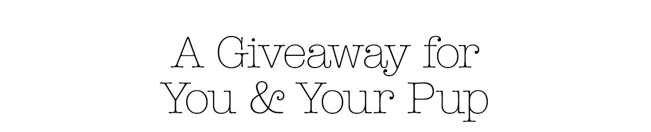 A Giveaway for You and Your Pup