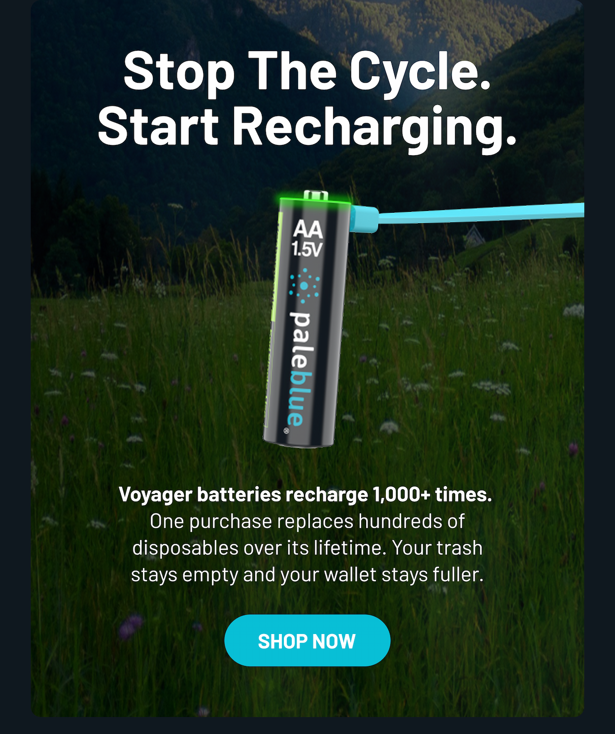 Stop The Cycle. Start Recharging.