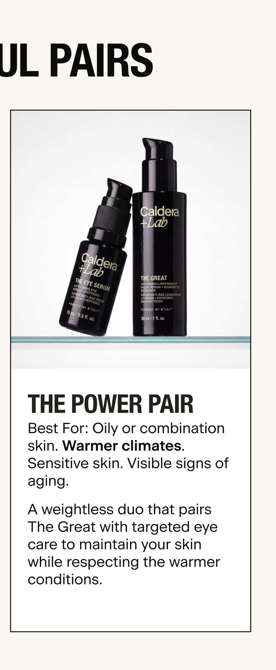 THE POWER PAIR