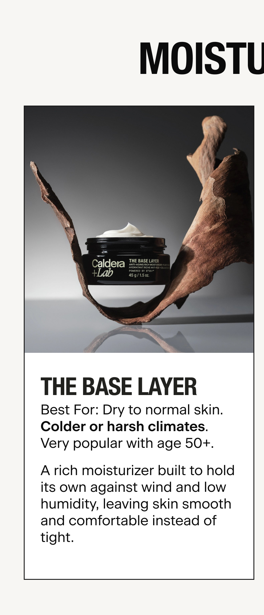 THE BASE LAYER