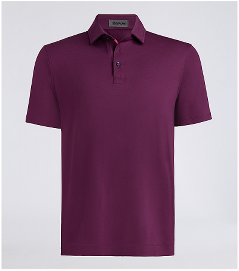 All Play Polo