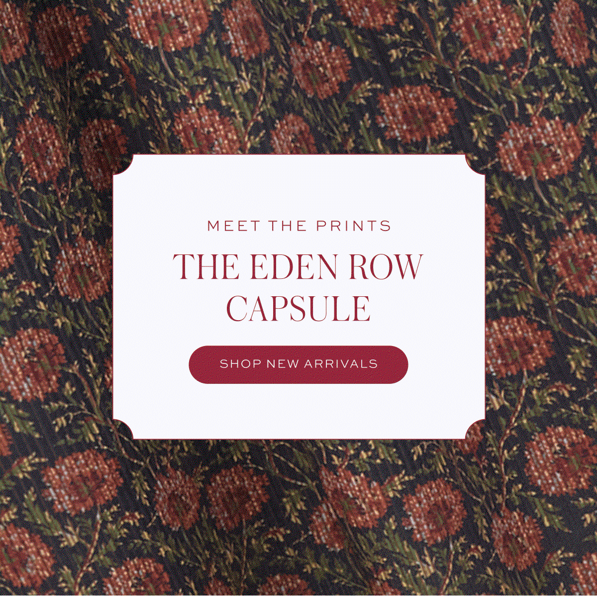 Meet the Prints: The Eden Row Capsule