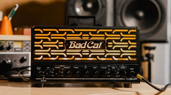 Today Only! zZounds 30th Anniversary Deal: Bad Cat Ocelot Amp Head