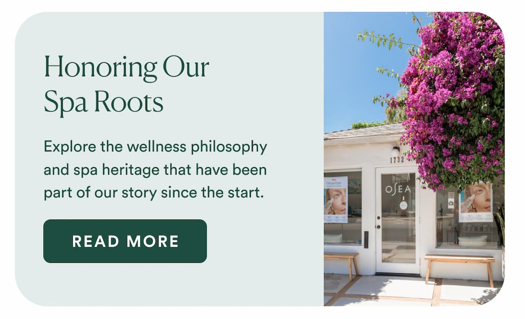  Honoring Our Spa Roots : Explore the wellness philosophy and spa roots that have been part of our story since the very start.