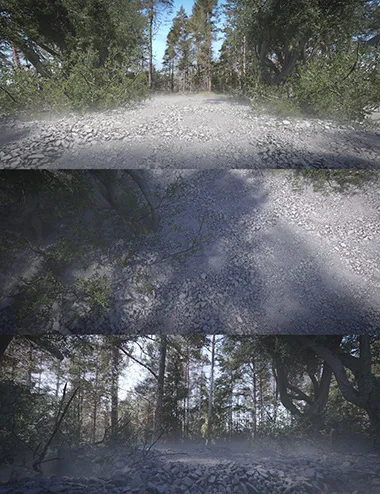 360 Scenes - Forest