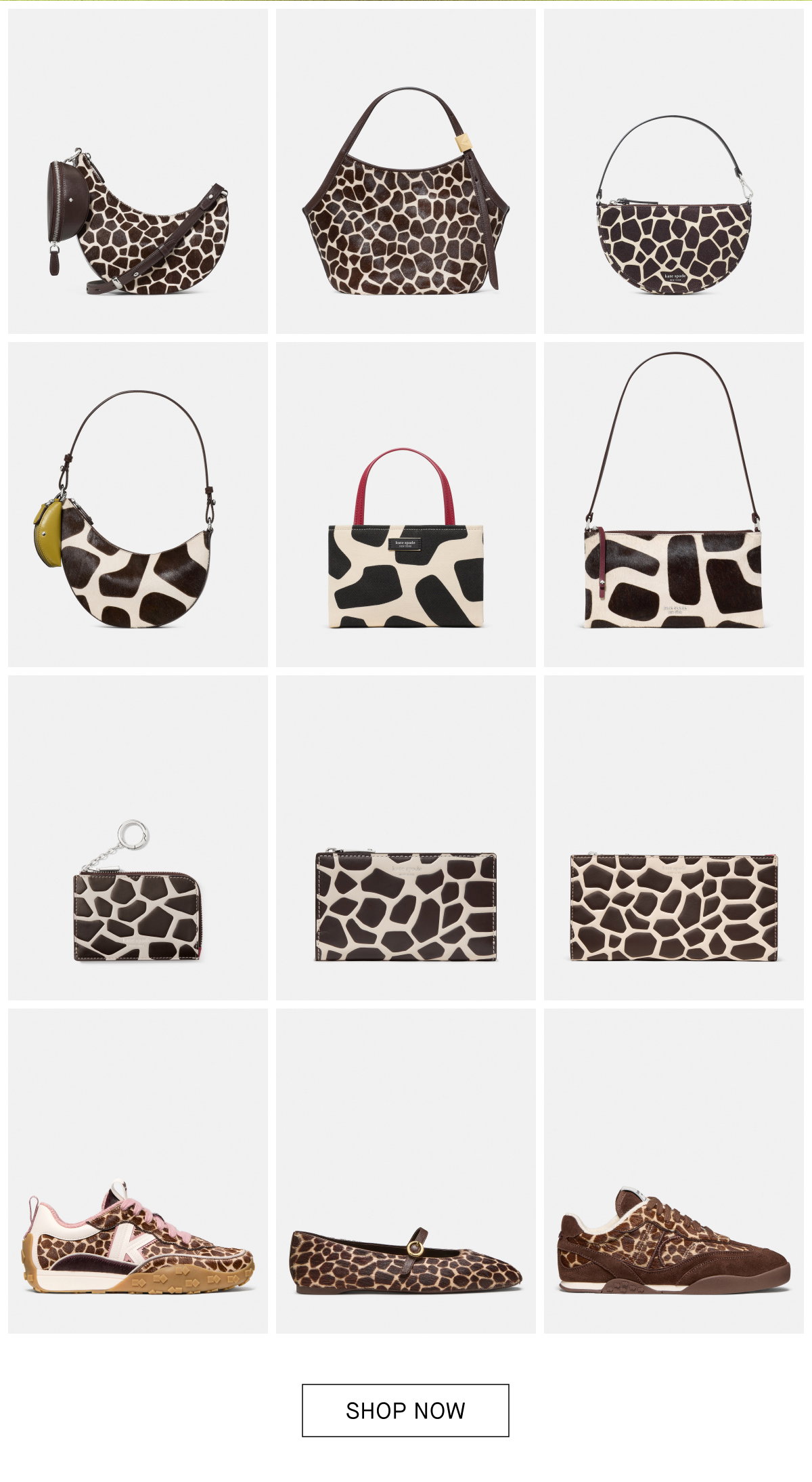 SHOP NOW