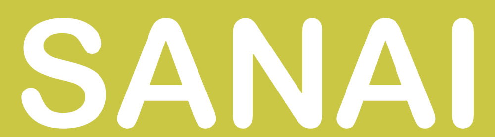 THE SANAI DRESS TITLE