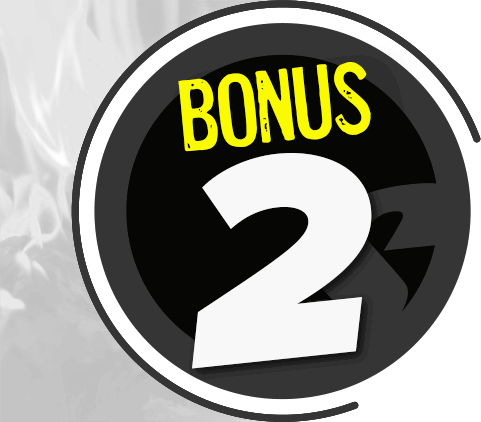 BONUS 2: You start with 15% and get an additional discount based on how much is in your cart. Save up to 30% off.