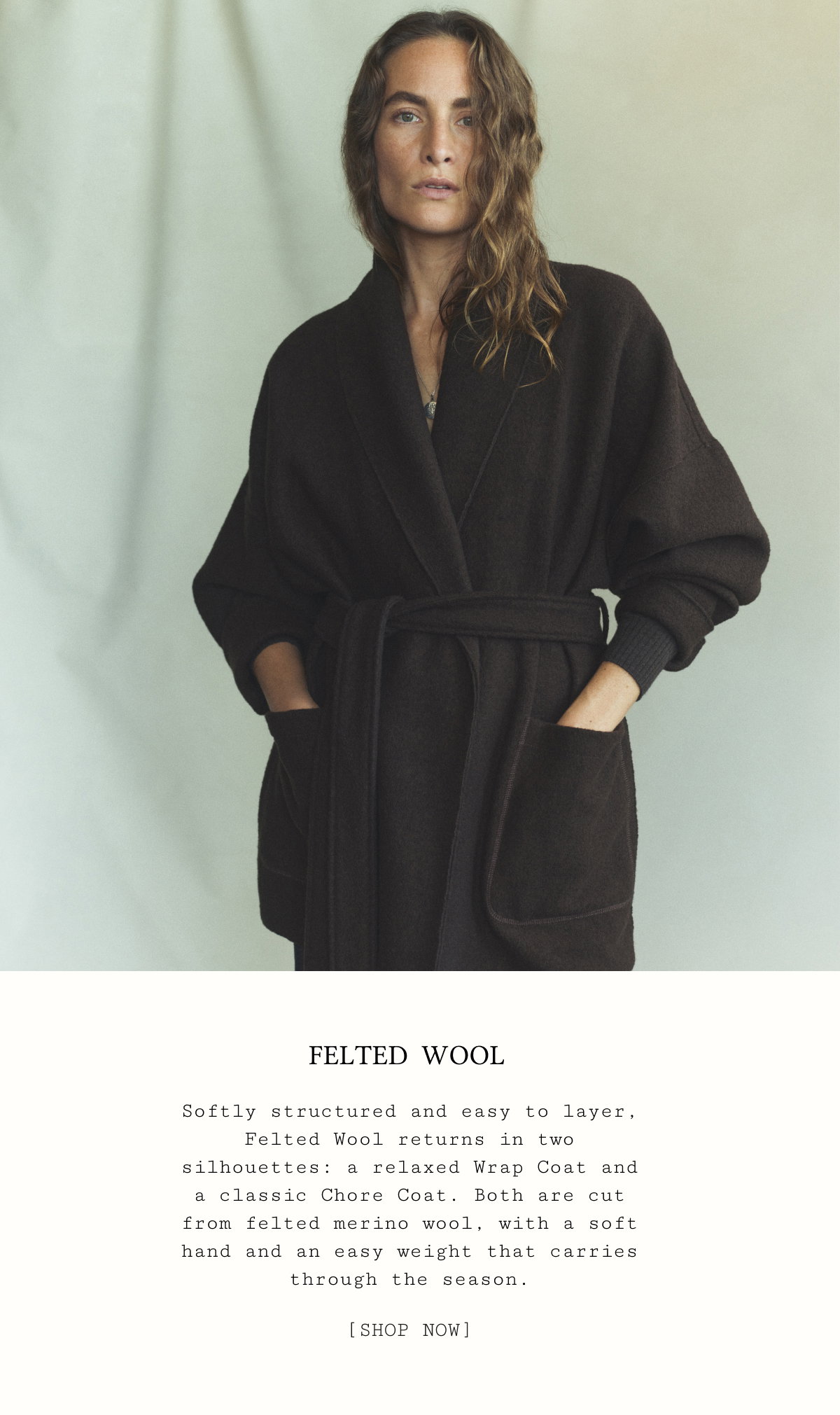 Felted Wool
