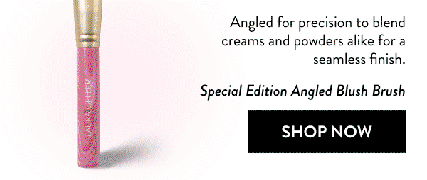 Special Edition Angled Blush Brush | Shop Now