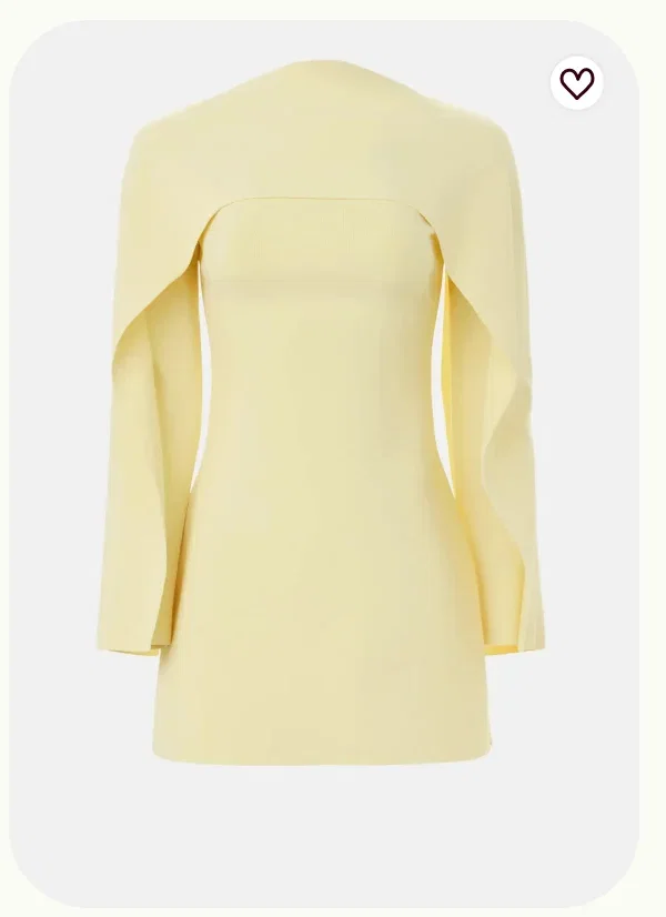 Almina Wing Sleeve Mini Dress