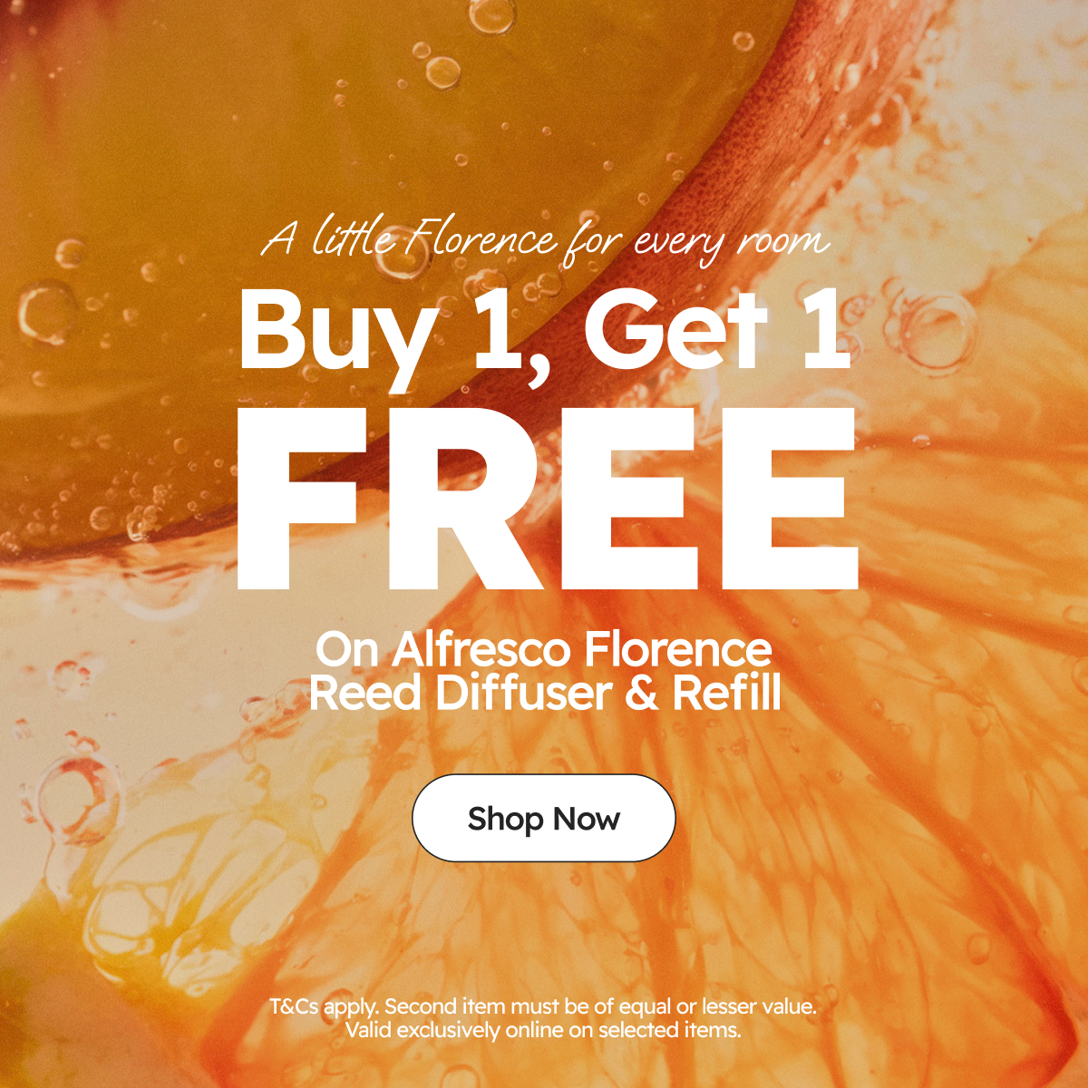 Limited Time Only | Online Only