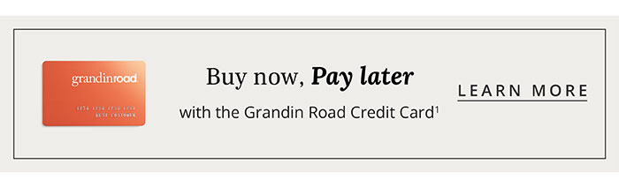 Buy now, Pay later