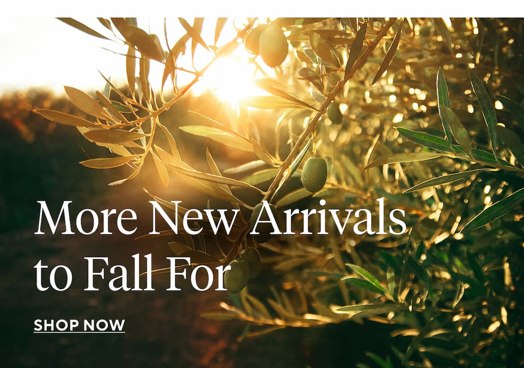 More New Arrivals to Fall For Shop Now >