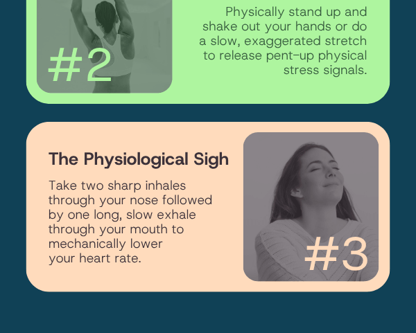 Breaking the Hyperactive Brain Fog