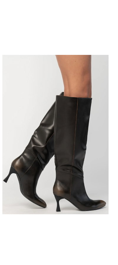 Caitlyn Pointed Toe Knee High Boots