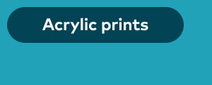 Acrylic panels