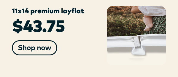 11x14 premium layflat. $43.75. Shop now.