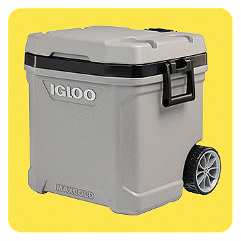 Coolers