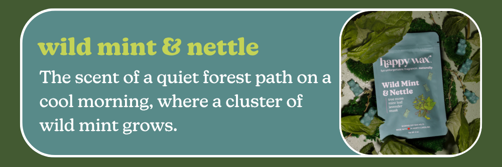 wild mint & nettle: The scent of a quiet forest path on a cool morning, where a cluster of wild mint grows.
