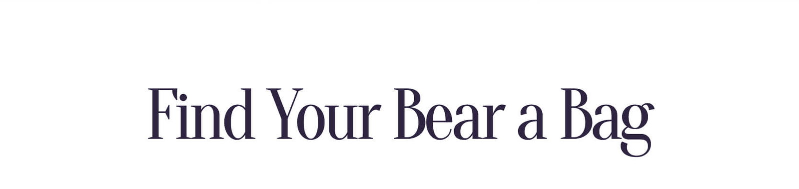 Find Your Bear a Bag