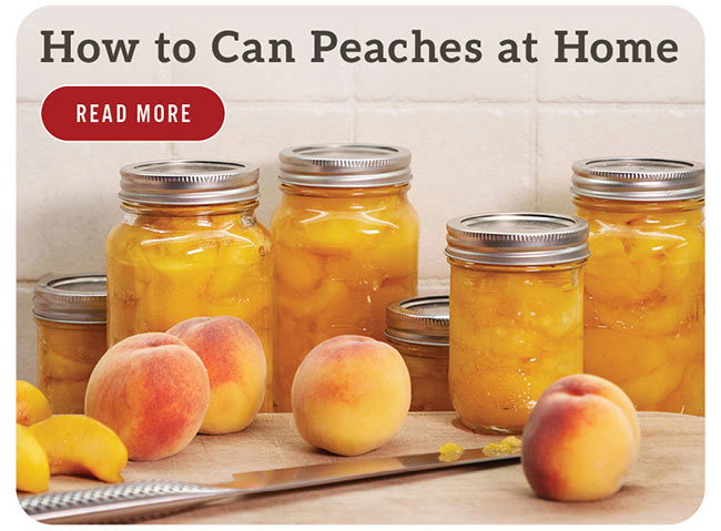 How to Can Peaches at Home