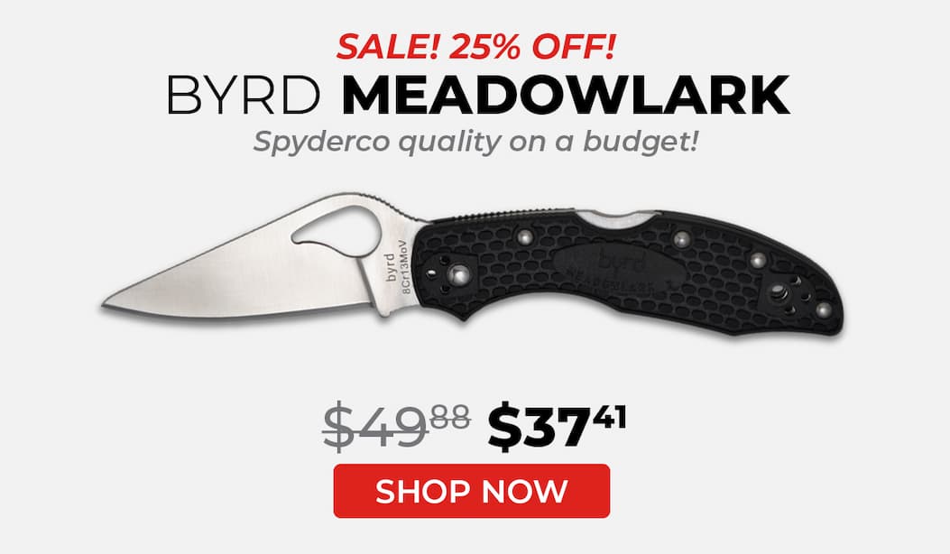Byrd Meadowlark