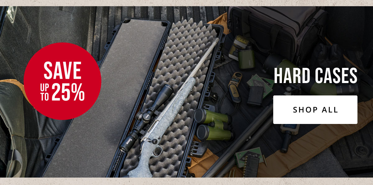Gun Storage 
