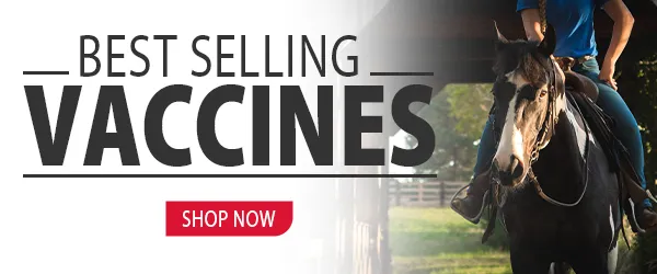 SHOP HORSE VACCINES