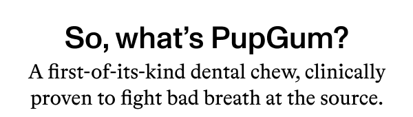 So, what’s PupGum?  A first-of-its-kind dental chew, clinically proven to fight bad breath at the source.