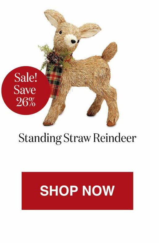 Standing Straw Reindeer [Click here to Shop Now]