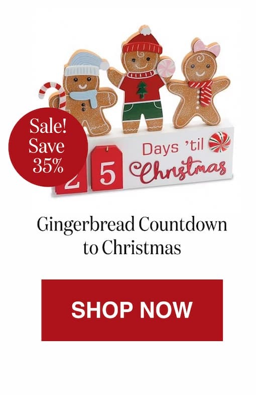Gingerbread Countdown to Christmas [Click here to Shop Now]