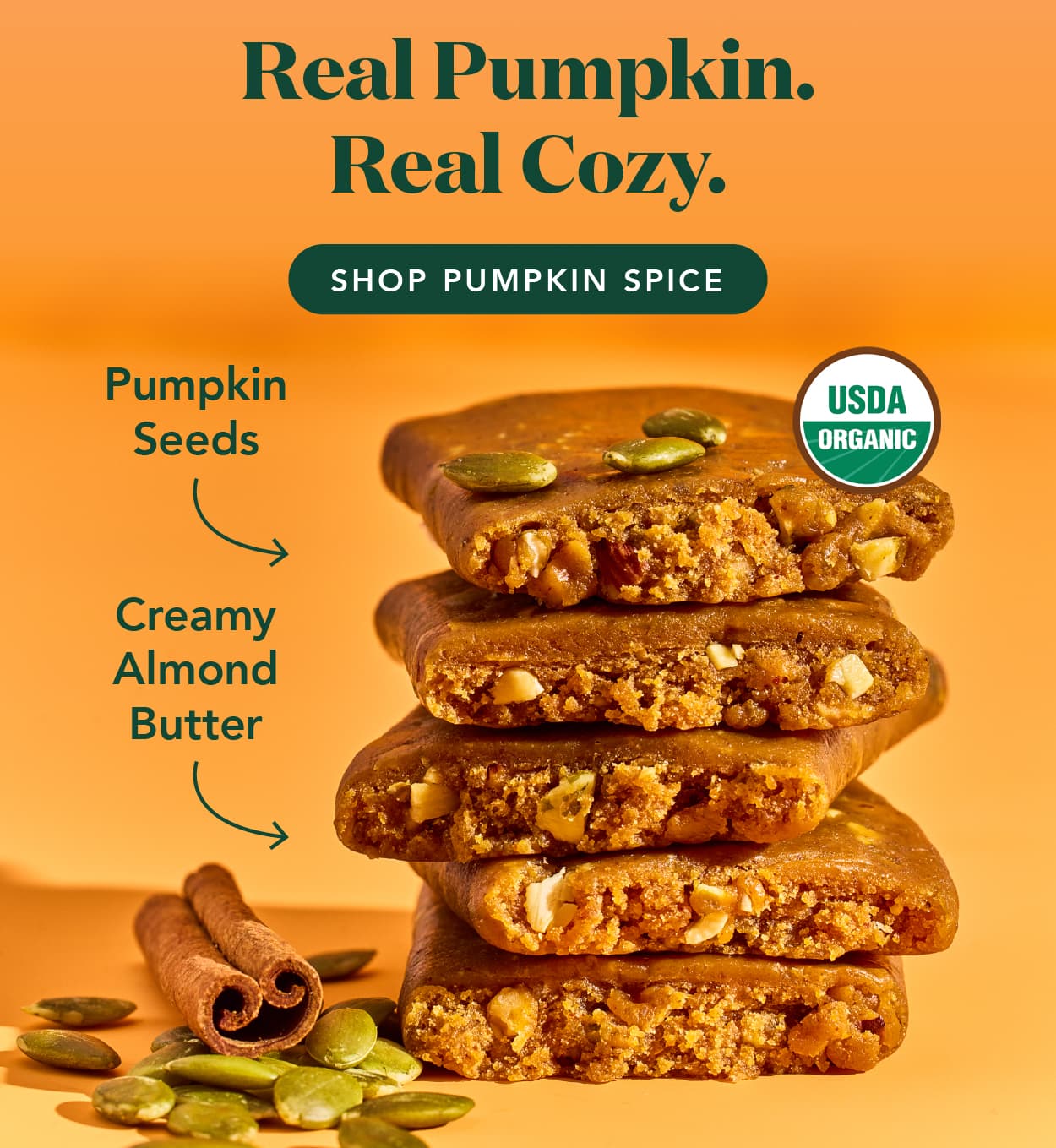 Realo pumpkin. Real cozy.