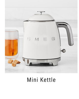 mini kettle