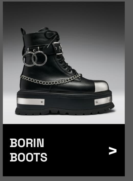 Borin Hardware Platform Boots