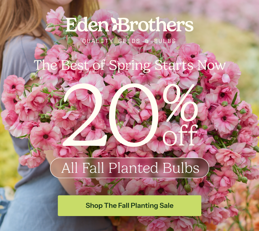 20% Off Fall Bulbs