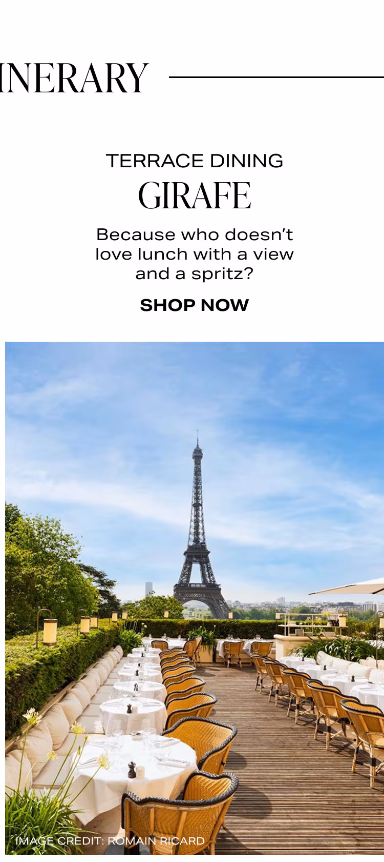 Shop Giraffe