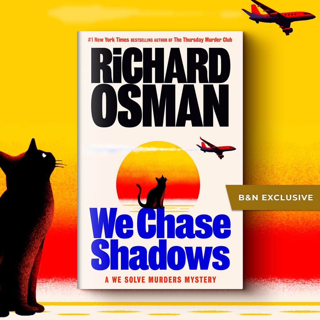 We Chase Shadows by Richard Osman