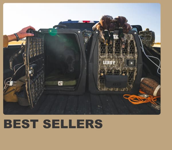 Best Sellers