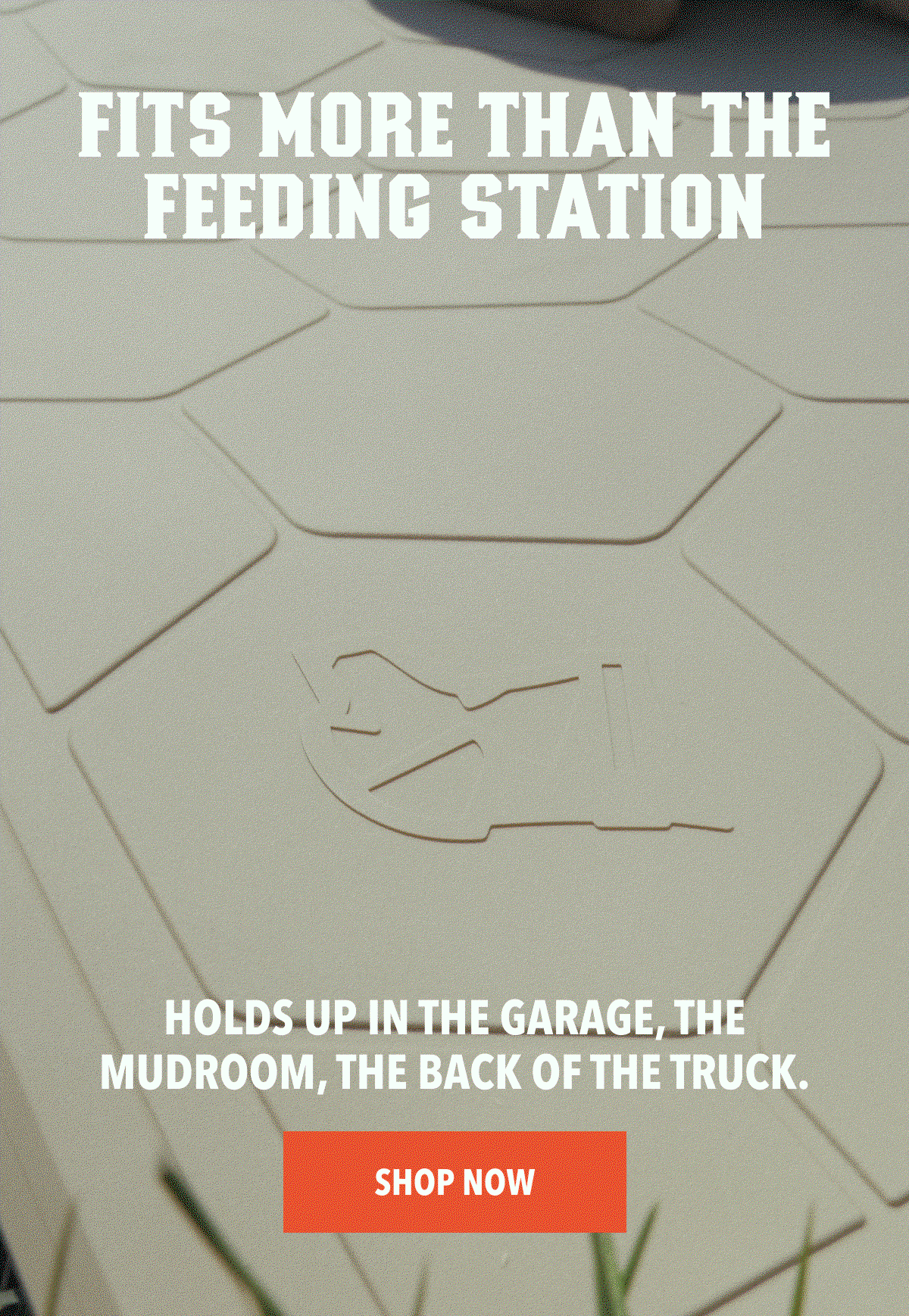 Fits more than the feeding station