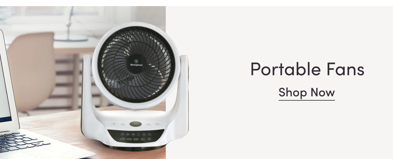 Portable Fans: Just In