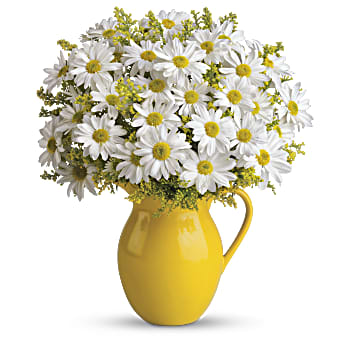 Teleflora's Sunny Day Pitcher of Daisies