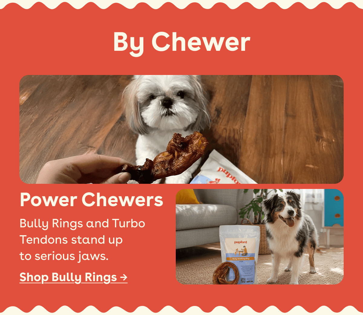 Shop Bully Rings 