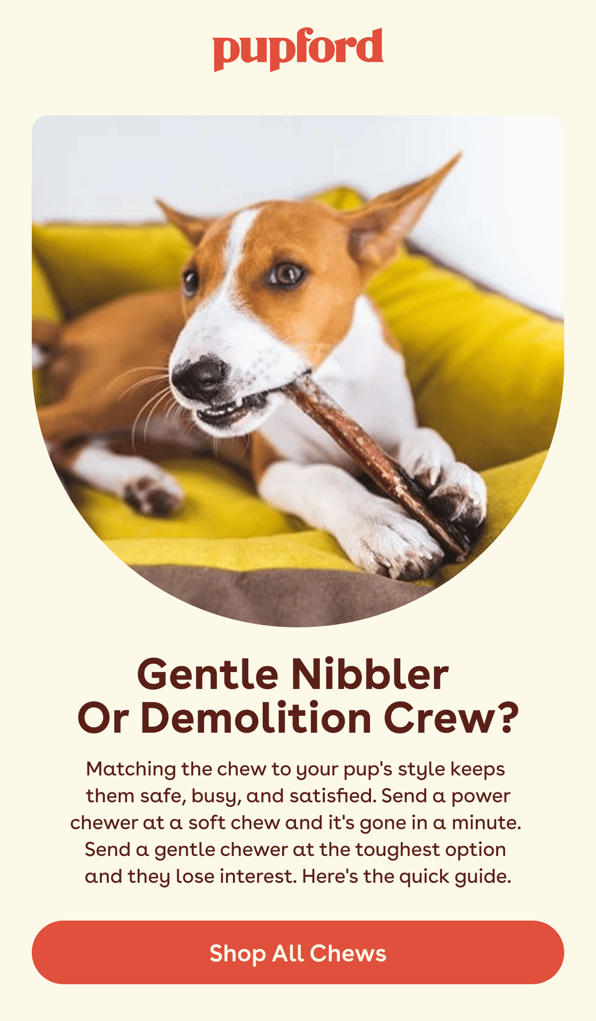 Shop all chews
