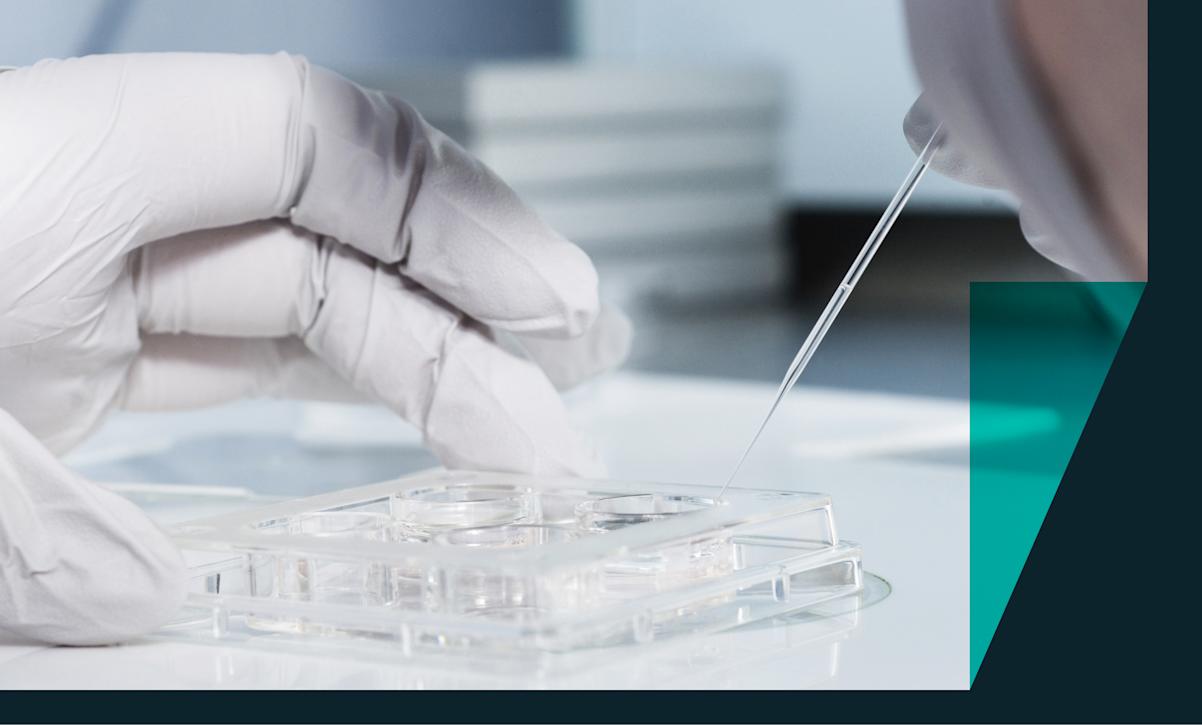 A scientist adjusts samples